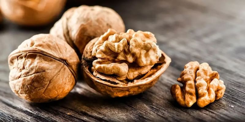 گردو پوست کاغذی شیراز بافت متراکم و کیفیت فرآوری مناسب